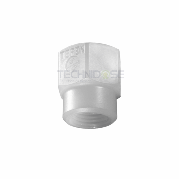 ADAPTATEUR MALE/FEMELLE PVDF - 1/2''Gm x 1/4''Gf