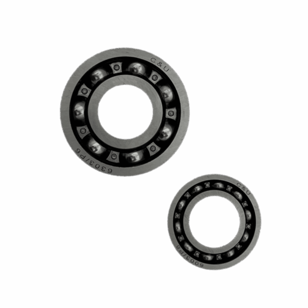 KIT ROULEMENT A BILLE POMPE SPRING PS2 & MS1 - 58/78 Coups/min _Rep C