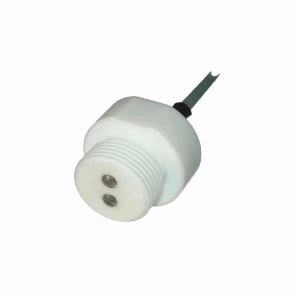 SONDE CK1-SS-M5 Aisi316-PTFE
