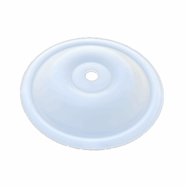MEMBRANE PTFE P50-P55-P60