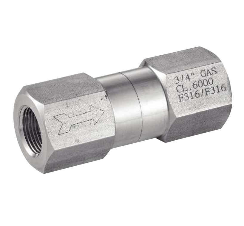 BI458743-20.png CLAPET D'INJECTION INOX 316/FKM - E/S = 3/4"Gf - 3 à 400 BAR – Image 1