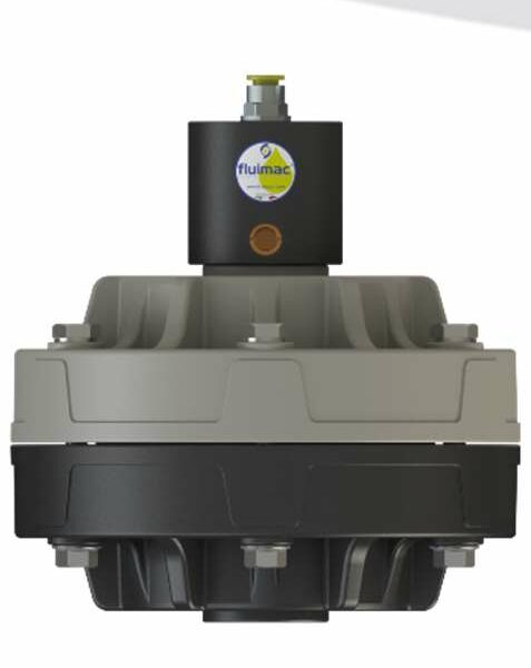 BALLON AMORTISSEUR D25 - PVDF - MEMBRANE SANTOPRENE/PTFE - 1''