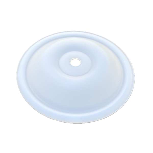 MEMBRANE PTFE P50-P55-P60